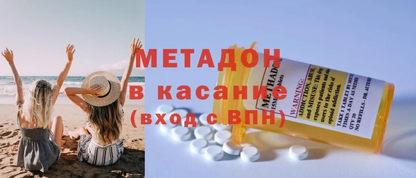 шишки Новодвинск