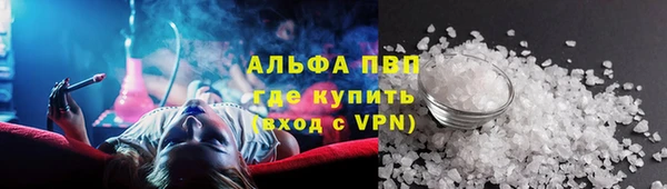 шишки Новодвинск