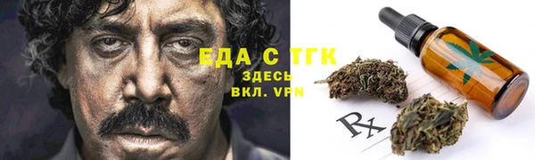 шишки Новодвинск