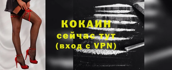 шишки Новодвинск
