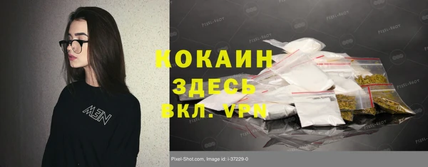 шишки Новодвинск