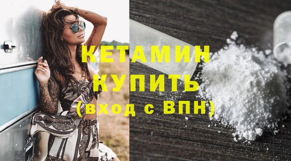 шишки Новодвинск