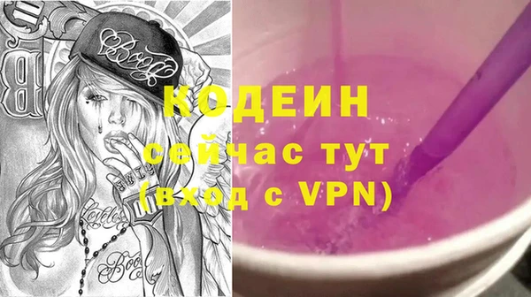шишки Новодвинск