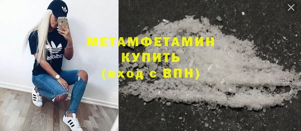шишки Новодвинск