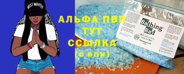 mdma Новозыбков
