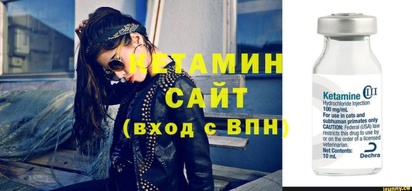 шишки Новодвинск