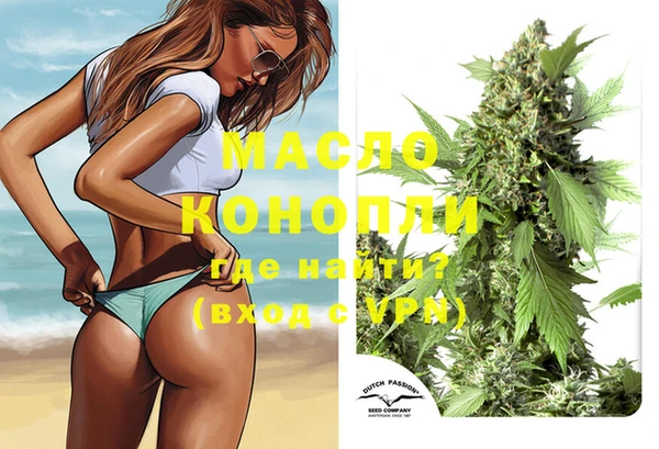 шишки Новодвинск