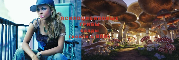 mdma Новозыбков