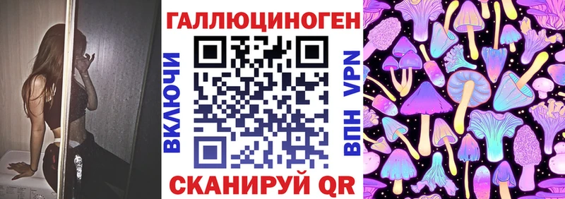 ссылка на мегу   купить  цена  Болхов  Псилоцибиновые грибы прущие грибы 